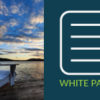 White Paper - Minnowbrook 2014 Hermeticity Testing and Issues with Correlation
