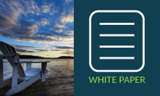 White Paper - Minnowbrook 2014 Hermeticity Testing and Issues with Correlation